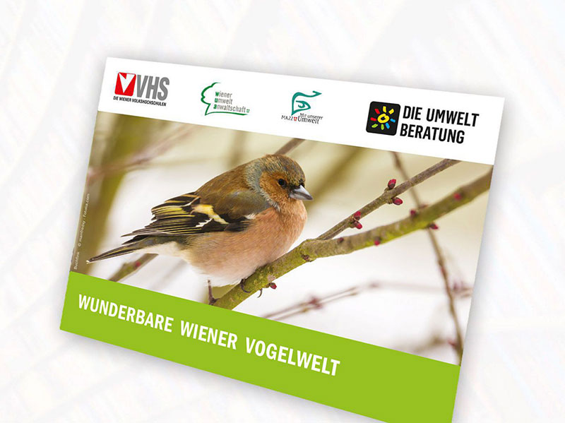 Bildbeschreibung