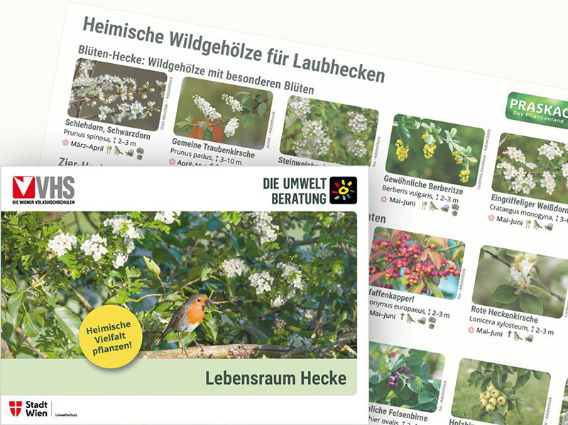 Bildbeschreibung