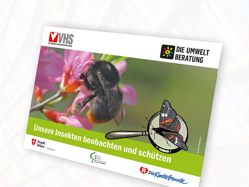 Bildbeschreibung