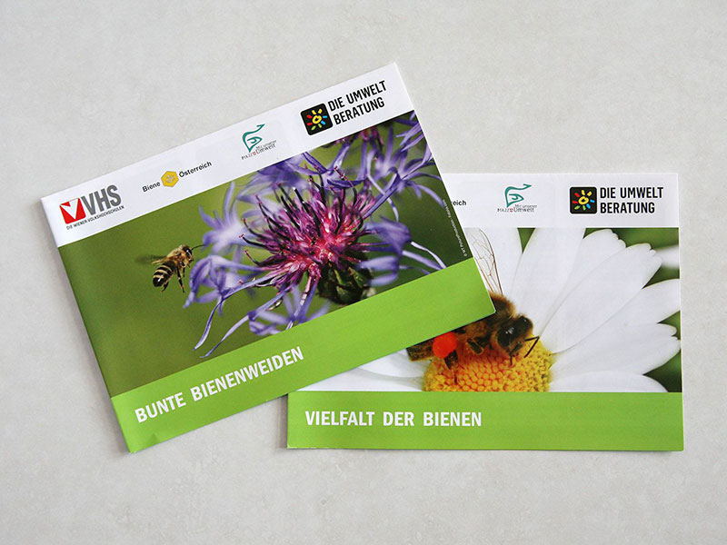 Bildbeschreibung